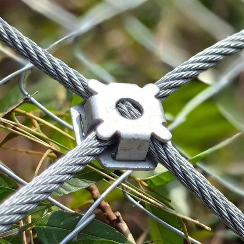 微信图片_20251112095433_20_47