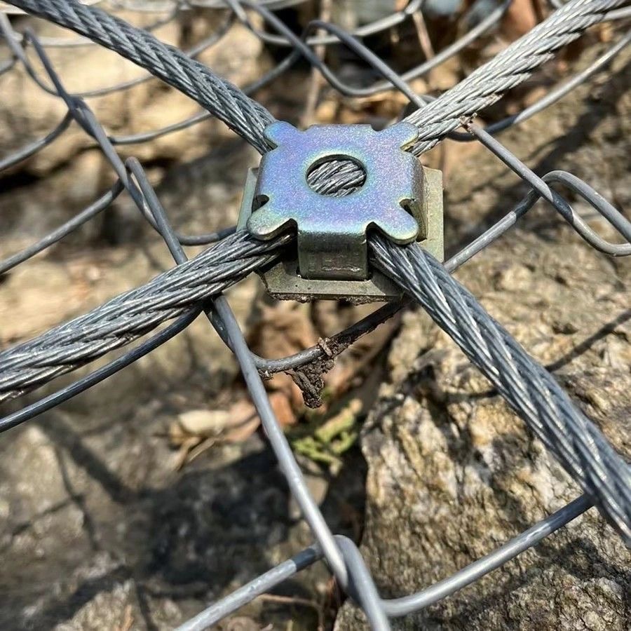 微信图片_20251112095432_19_47